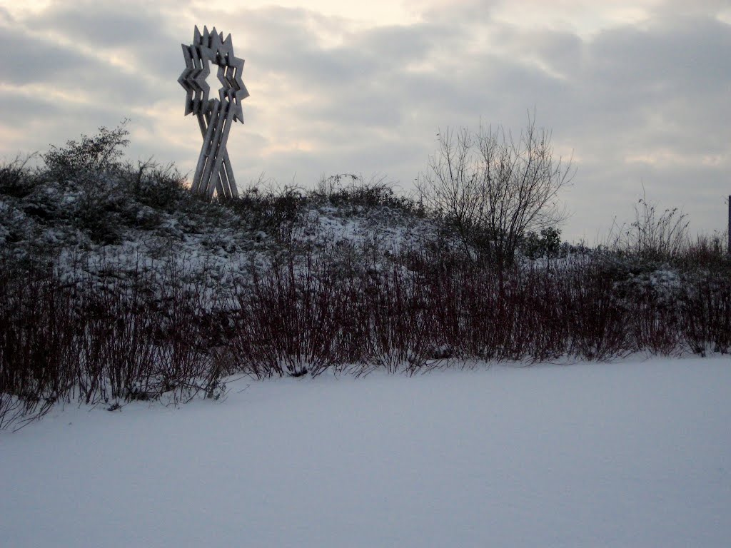 Triple Star Head against a snowy sky by jiffyhelper