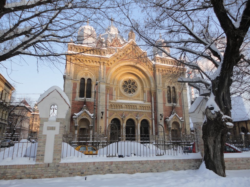 Sinagoga, iarna, Timișoara-Temesvár by Corneliu Anca