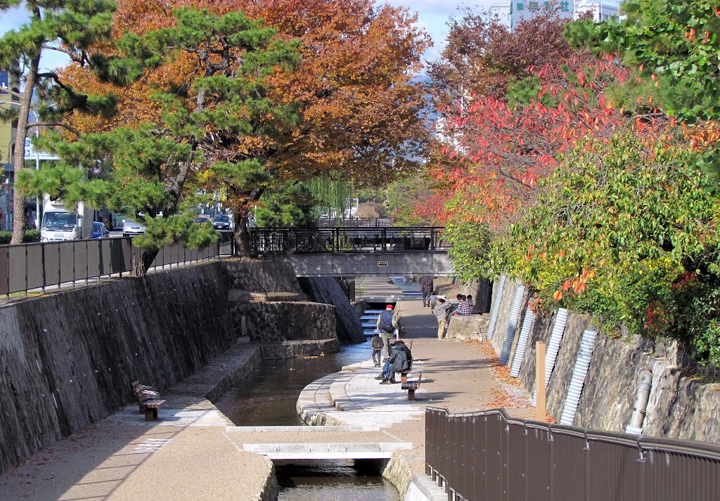 京都 崛川通 疏水道 Horikawa Dori,Kyoto,Japan by Percy Tai  漆園童