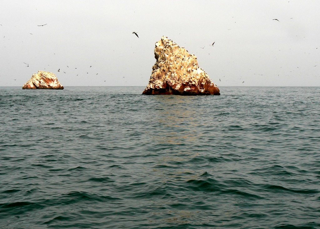 Ballestas Islands, Peru by Nicola e Pina Peru