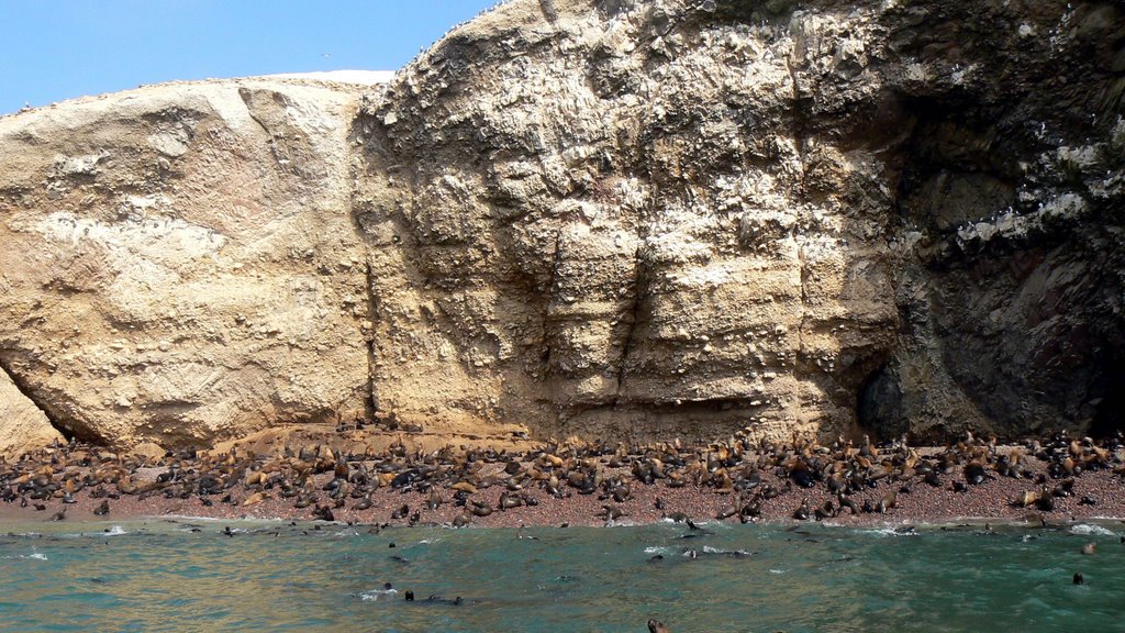 Ballestas Islands, Peru by Nicola e Pina Peru