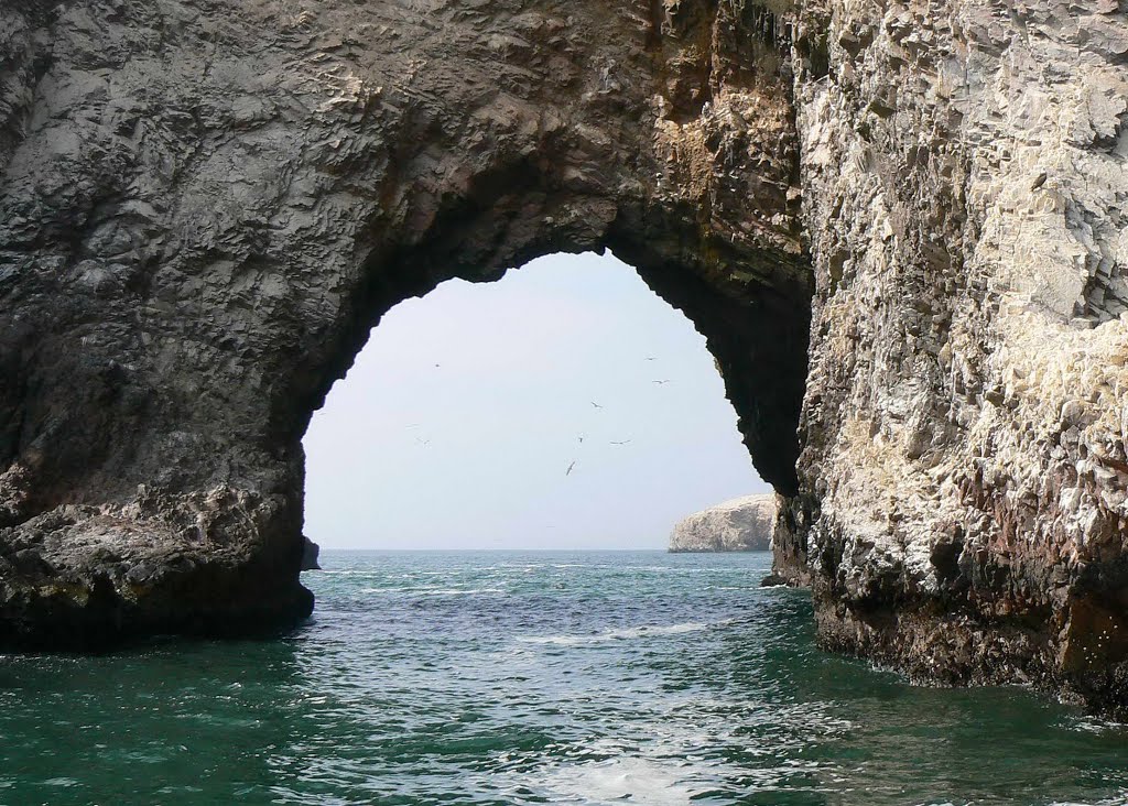 Ballestas Islands, Peru by Nicola e Pina Peru