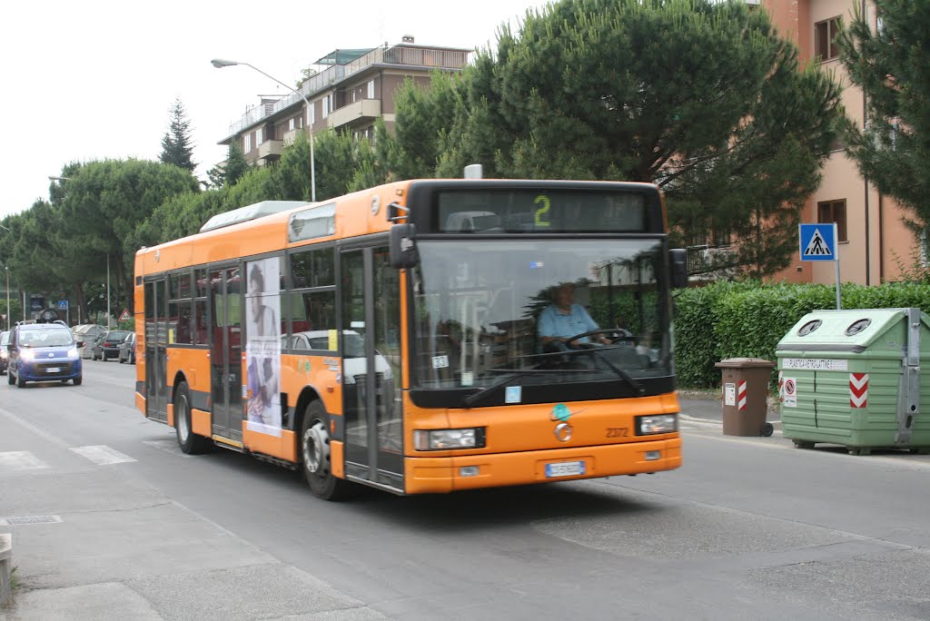 Italian Bus by George C1