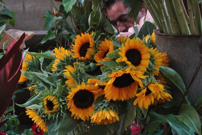 Rambla de les Flors, Barcelona. by http://vladosisak.co…