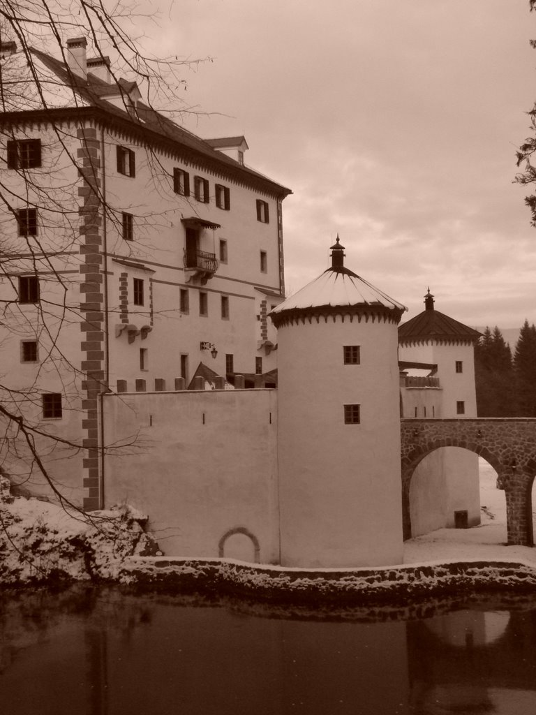 Snežnik castle BW by Samo Trebizan