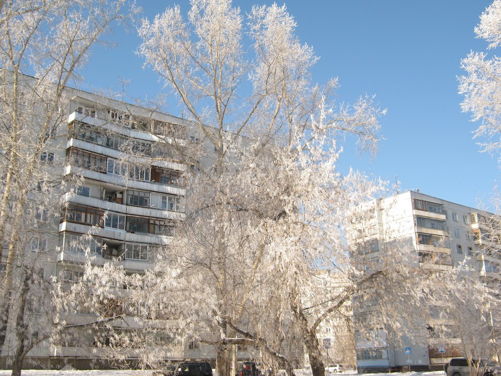 Hoar-frost on trees by la_parisien