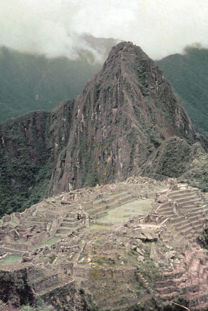 Peru, Machu Picchu by laura milani