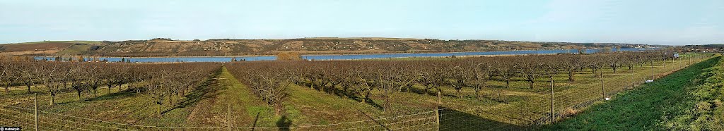 Süßer See (Panoramablick), B80 westl. Aseleben by matmicpic