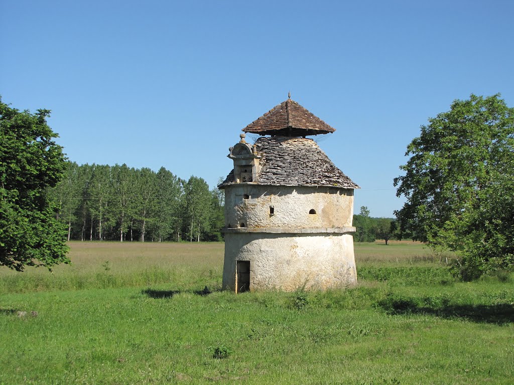 Magnifique pigeonnier à lanterneau - Verdeney - Coulaures - Dordogne by Max d'Arrieutort