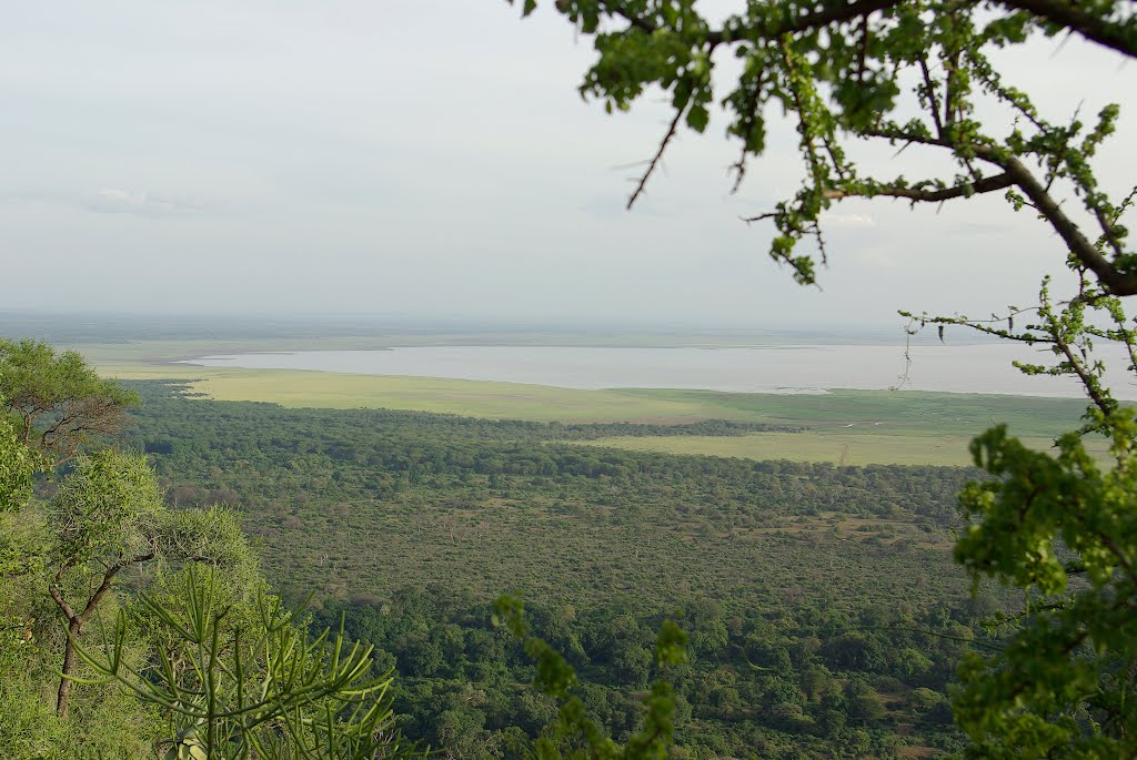 Manjara lake by Pavel Dogadushkin