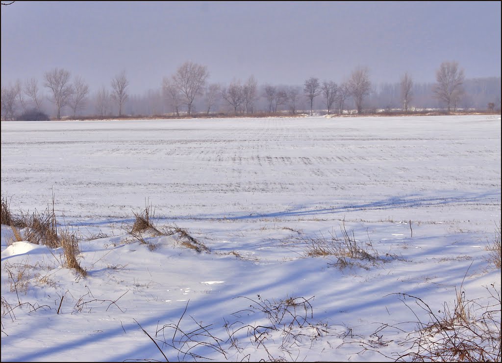 Téli séta a határban - Winter walk by antal julianna