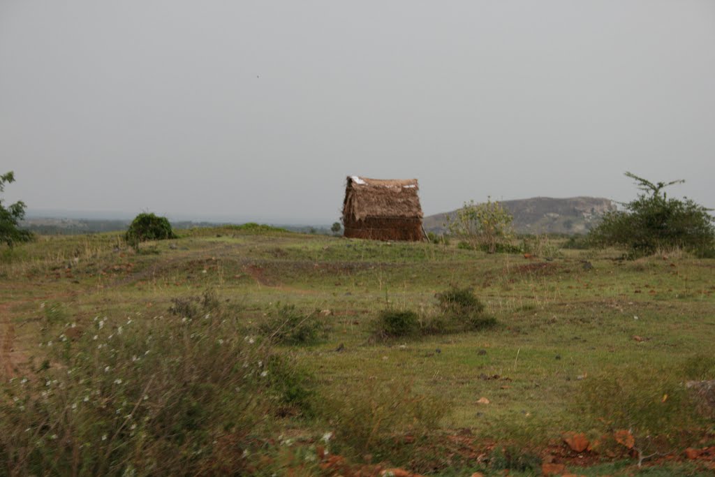 Hut by Vikram G Aarella