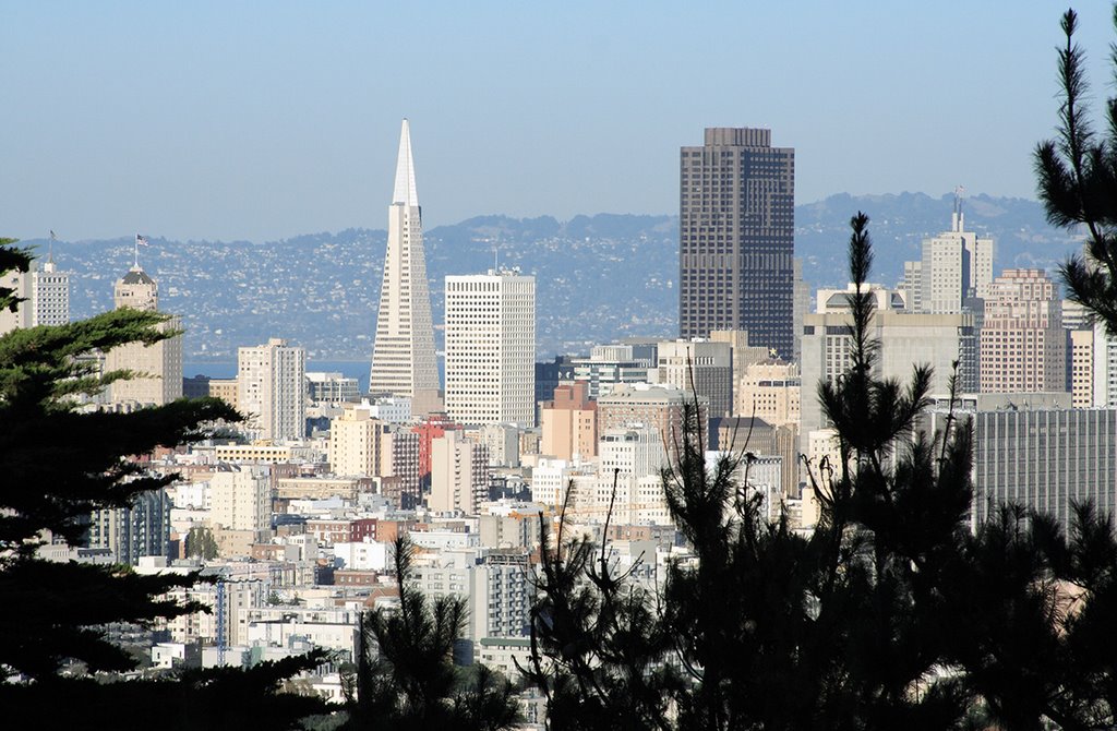 San Francisco City From Buenna Vista Park by T.Neychev