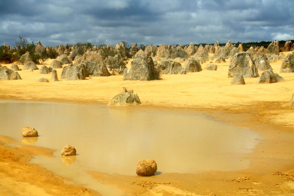 Pinnacles Desert - Nambung National Park, WA by nipper30