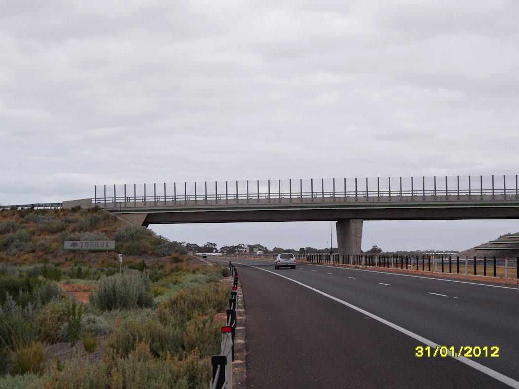 Heaslip Road Overpass Bridge, ''TOBRUK'', viewed from along the Northern Expressway, on 31-01-2012 by Peter John Tate,