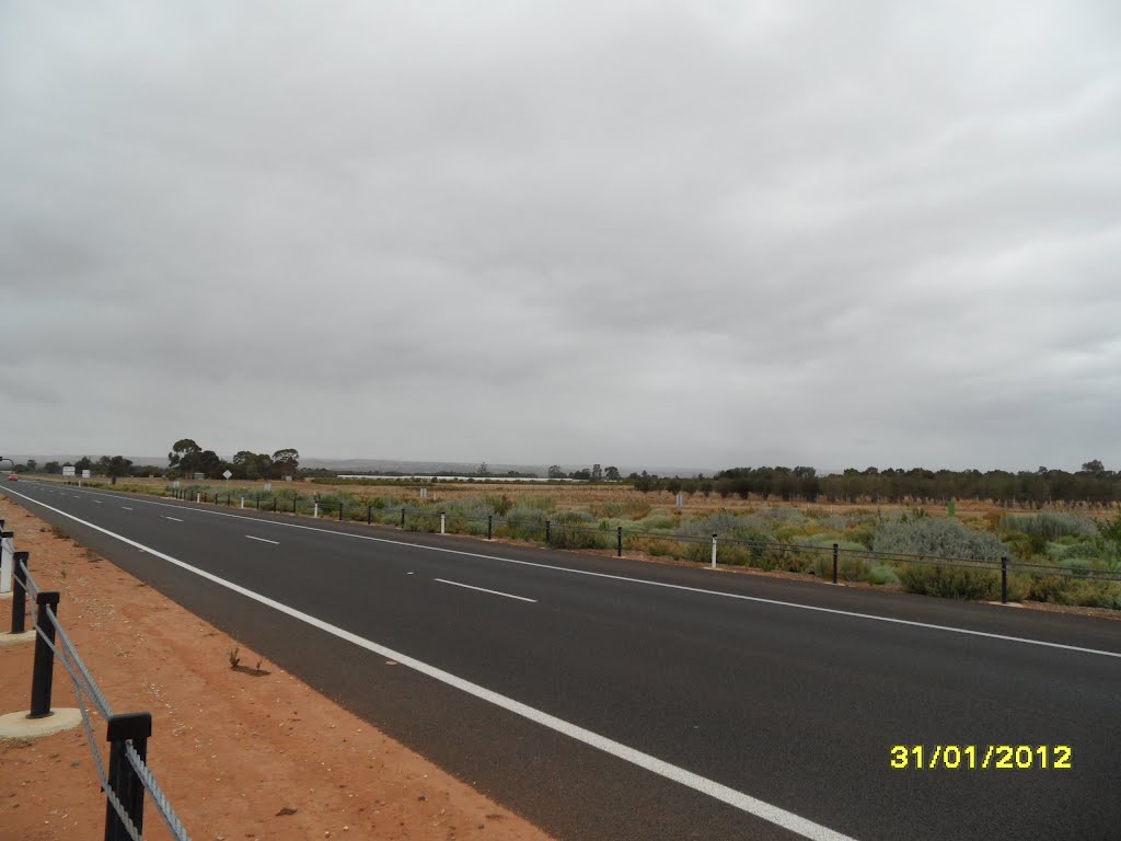 View along the Northern Expressway, looking back towards Munition Stores area, on 31-01-2012 by Peter John Tate,