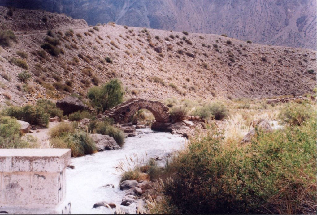 Mendoza Picheuta puente histórico de piedra by Javier Cabral