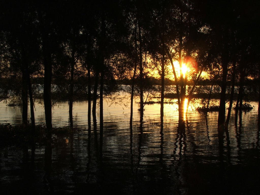 Reflejos by selimanramiro