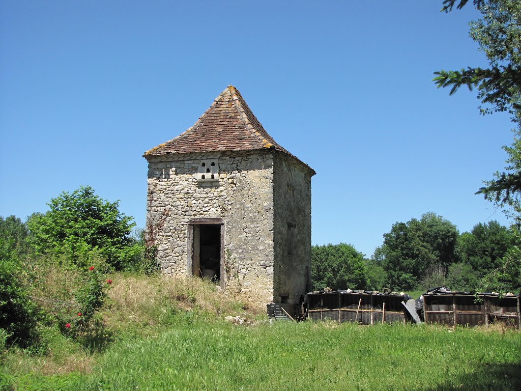 Pigeonnier à Saint-Vincent-sur-l'Isle - Dordogne by Max d'Arrieutort