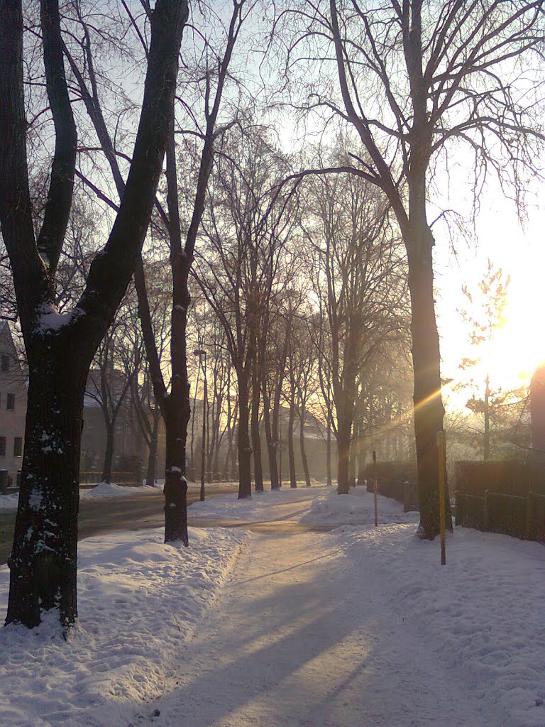 Gliwice, ul. Sowińskiego (2011-01-04) by fructal