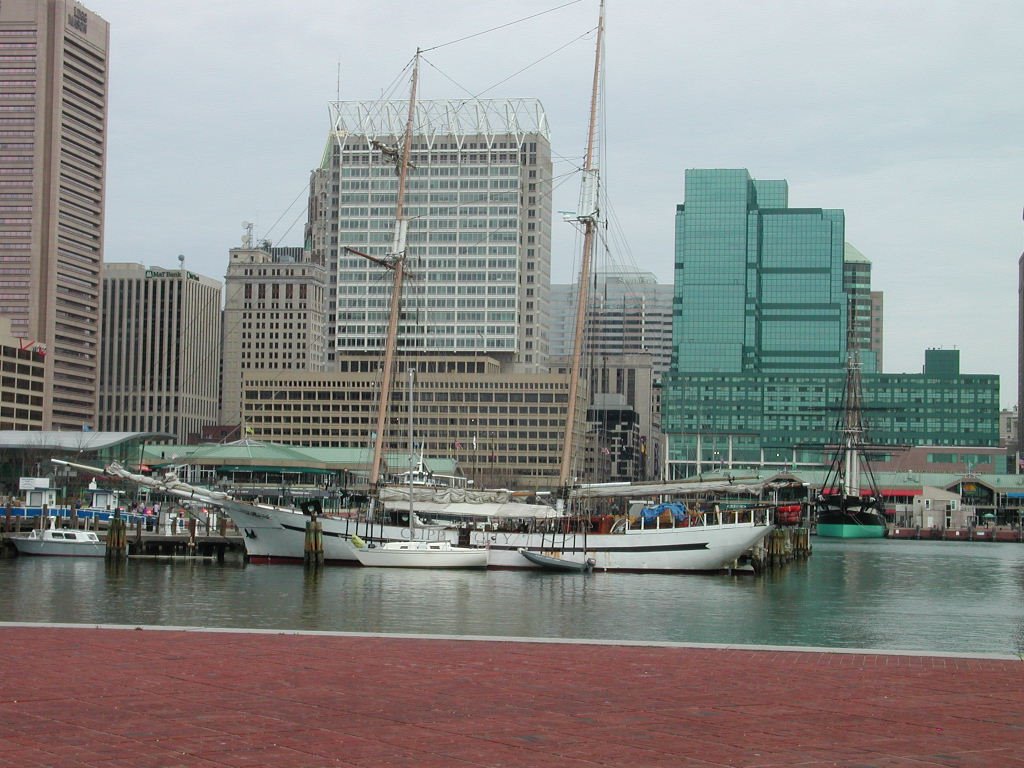 Baltimore Inner Harbor by surrfred