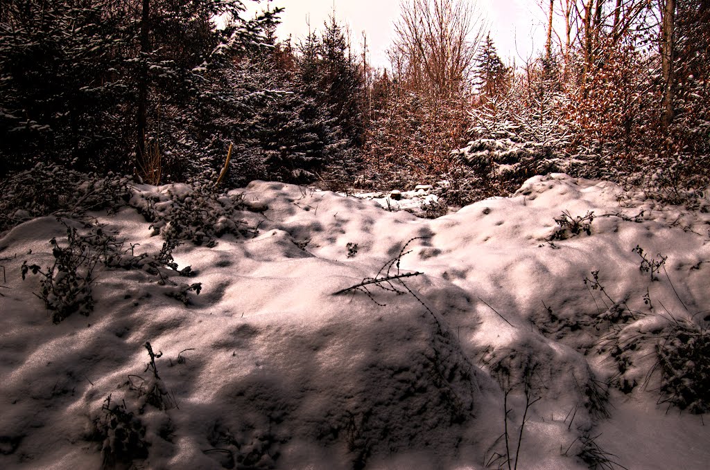 Winter in Niederbayern (10.02.2012,Fr) by SebastianWE