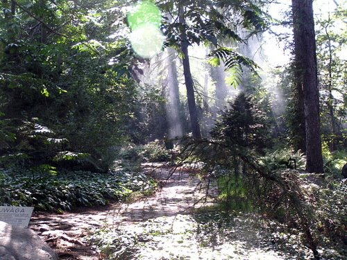 Ogród Botaniczny UAM by Piotrek