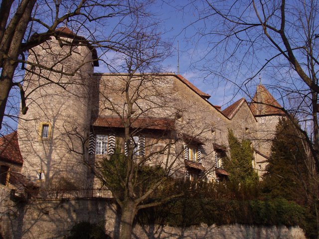 104 Murten, Schloss by Daniel Meyer