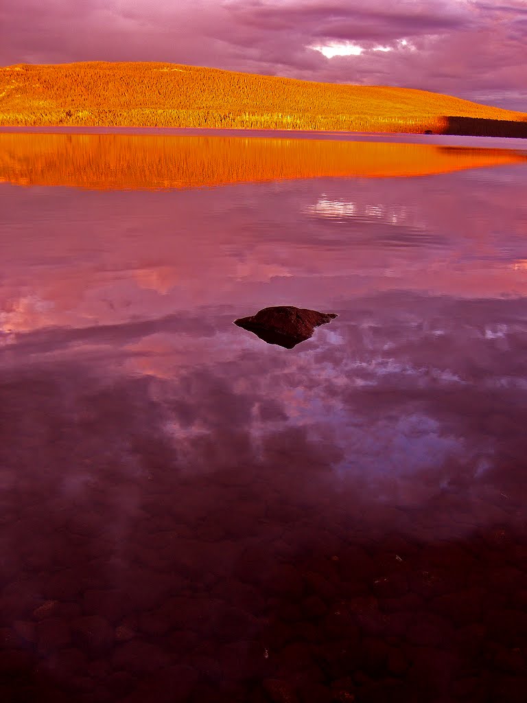 Lonely rock in the Saggat/ Laponia/ North Sweden by Inge und Stefan Westerberg