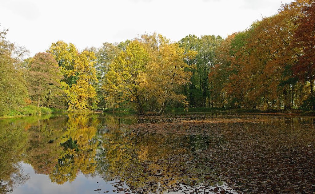 Herbst Mühlenteich by cuhle-fotos