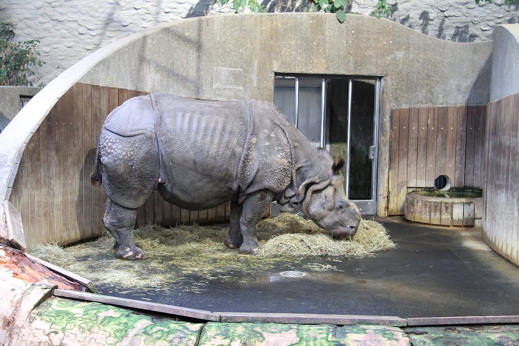 Tierpark Hellabrunn by Grant_Vehapetyan