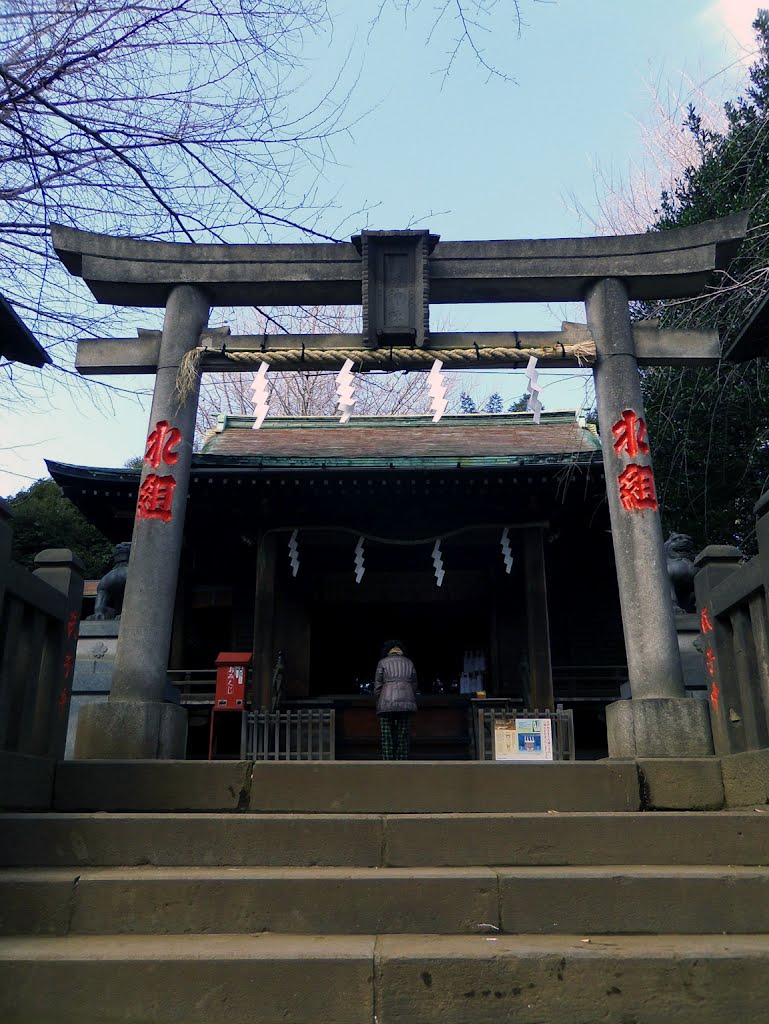 Suwa Shrine / 諏方神社 by Kangoo_