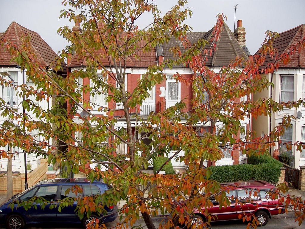 Wood Green, London, UK by Bijata