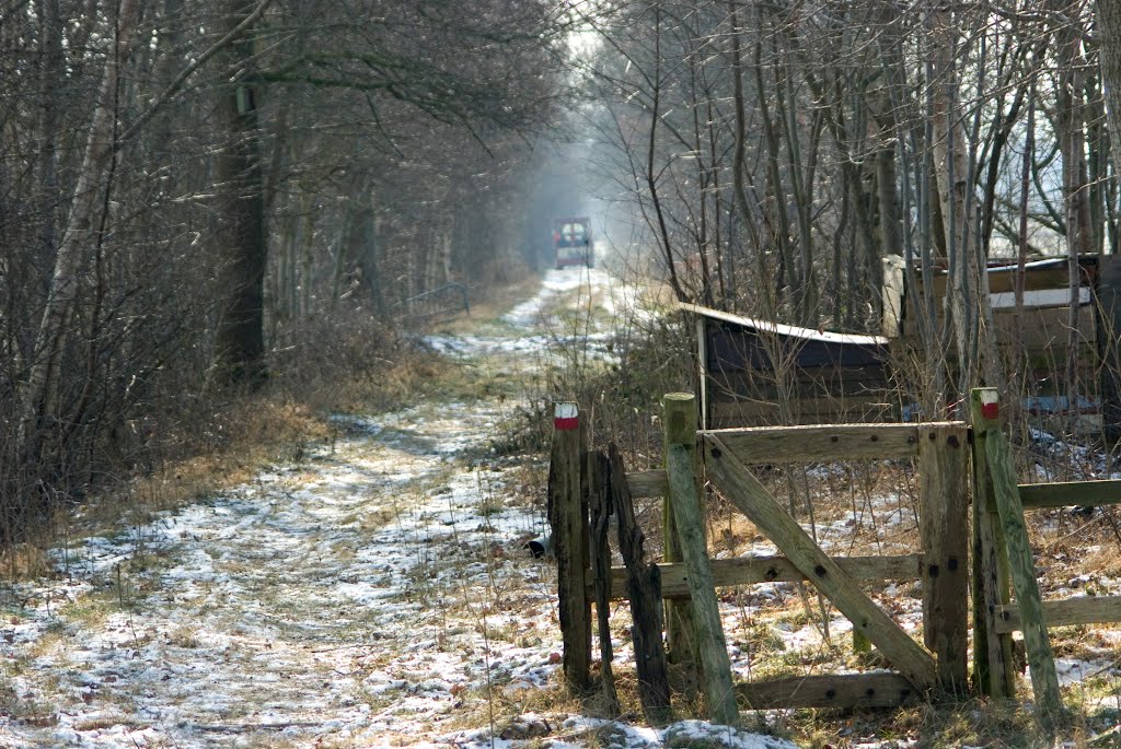 Brouwerspaed, oorspronkelijk oud wandelpad richting oud kerkje voor vroegere kerkgangers vanaf Verlaat by pinkstj