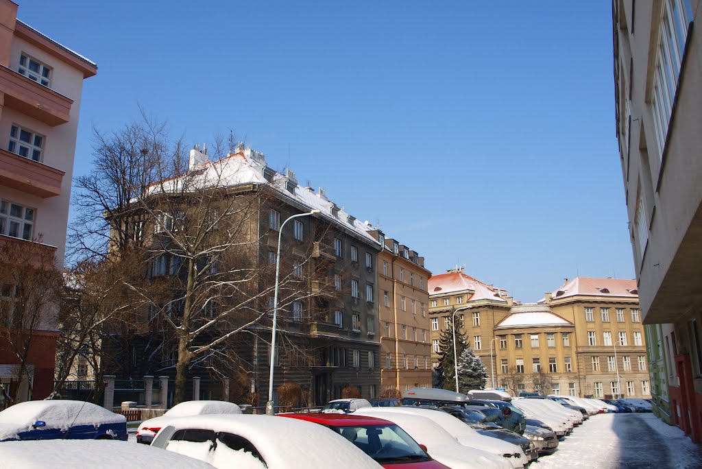 Studentská ulice, Dejvice by Pavel Kacl