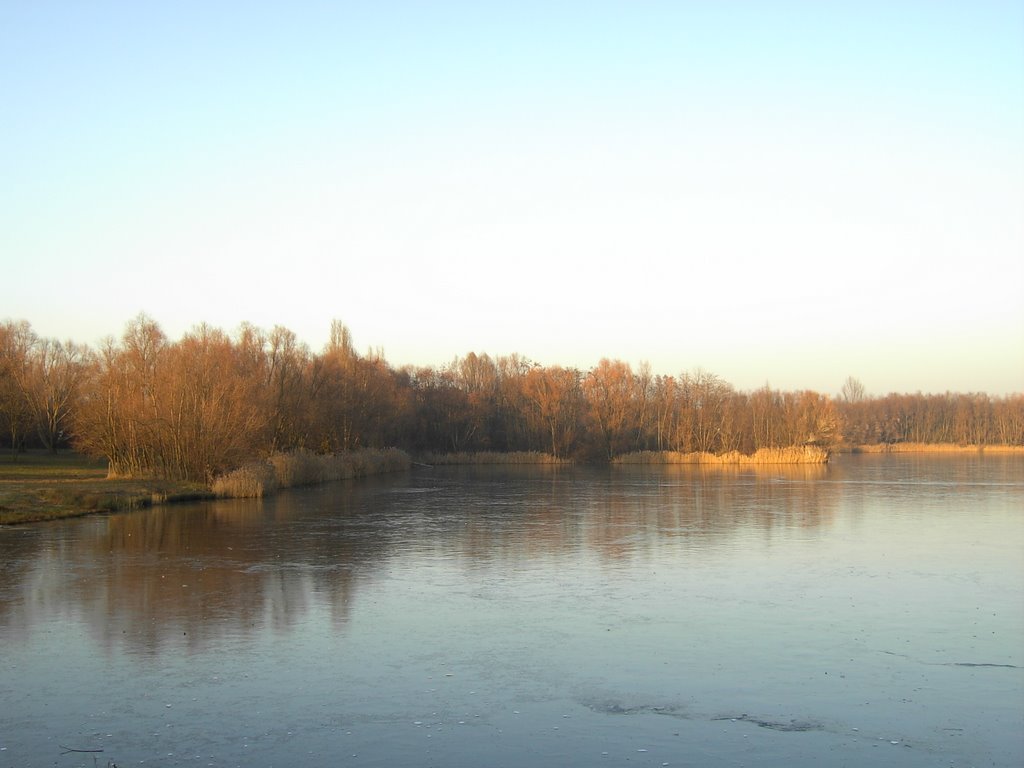 Offb.-Bürgel. Schulteißweiher im Winter by karei