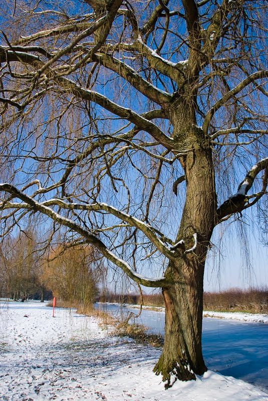 Bankside - Banbury by Gordon Bowdery