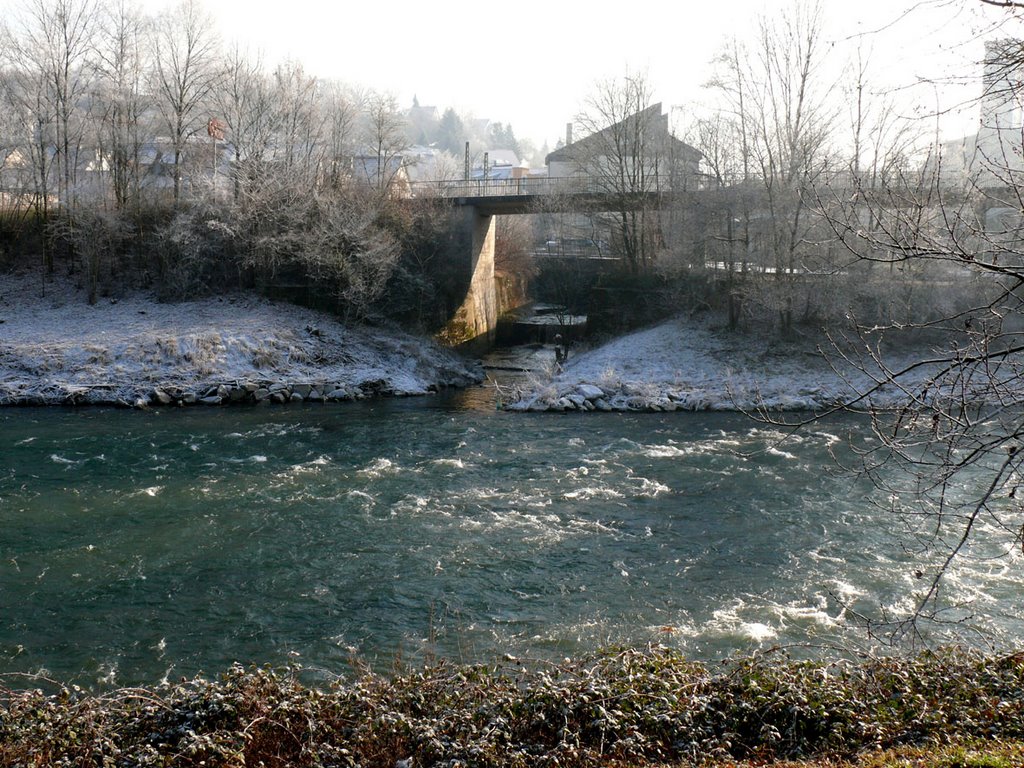 Mündung des Bodenbachs in den Neckar by Roland Appl