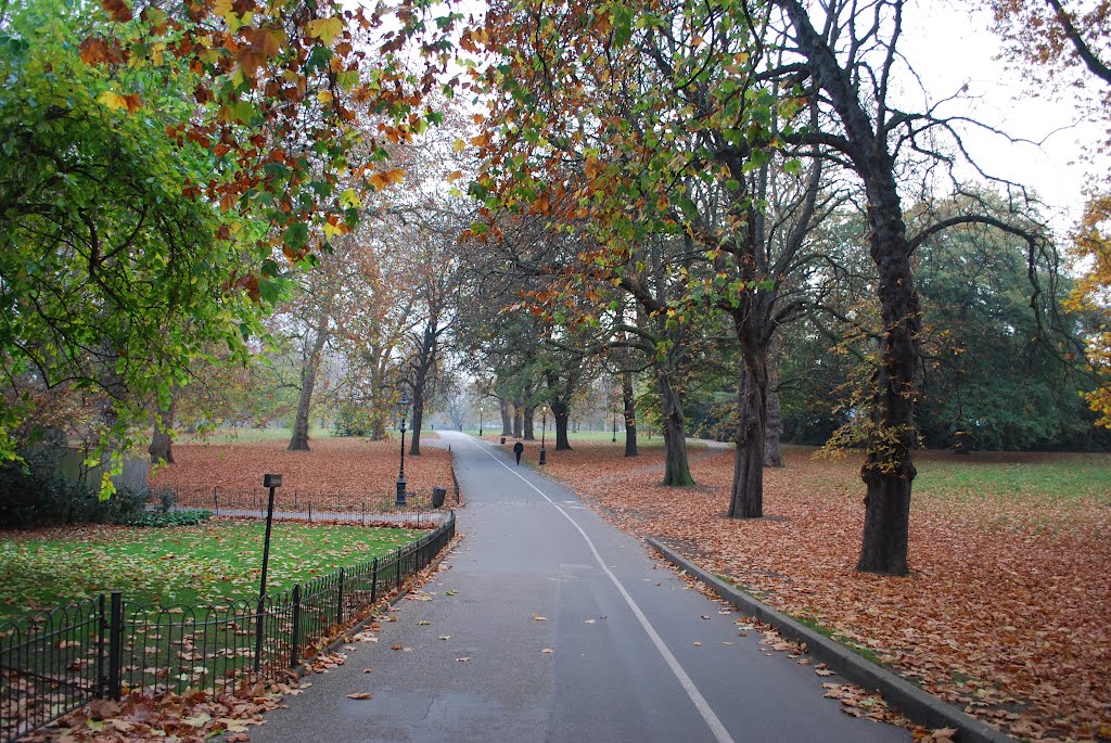 HYDE PARK EN OTOÑO by Oscar Garcia Piera