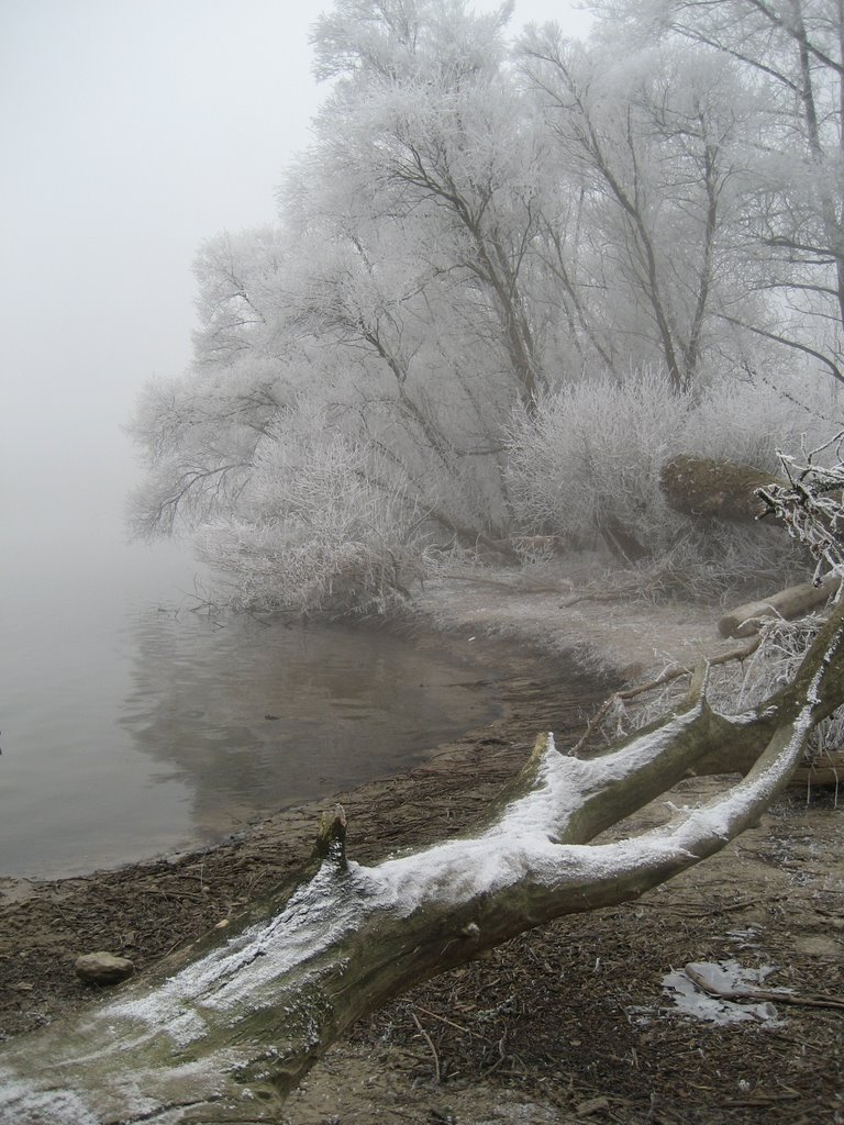 Baumstumpf am Anglersee im Winter by Hertweck ,Klaus