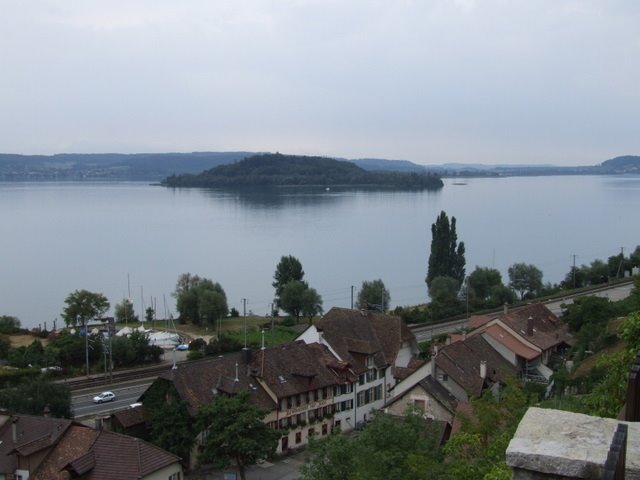 164 Dörfchen Kleintwann und St. Peterinsel by Daniel Meyer