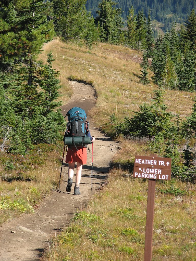 Trail to the Brothers by Carter Boswell