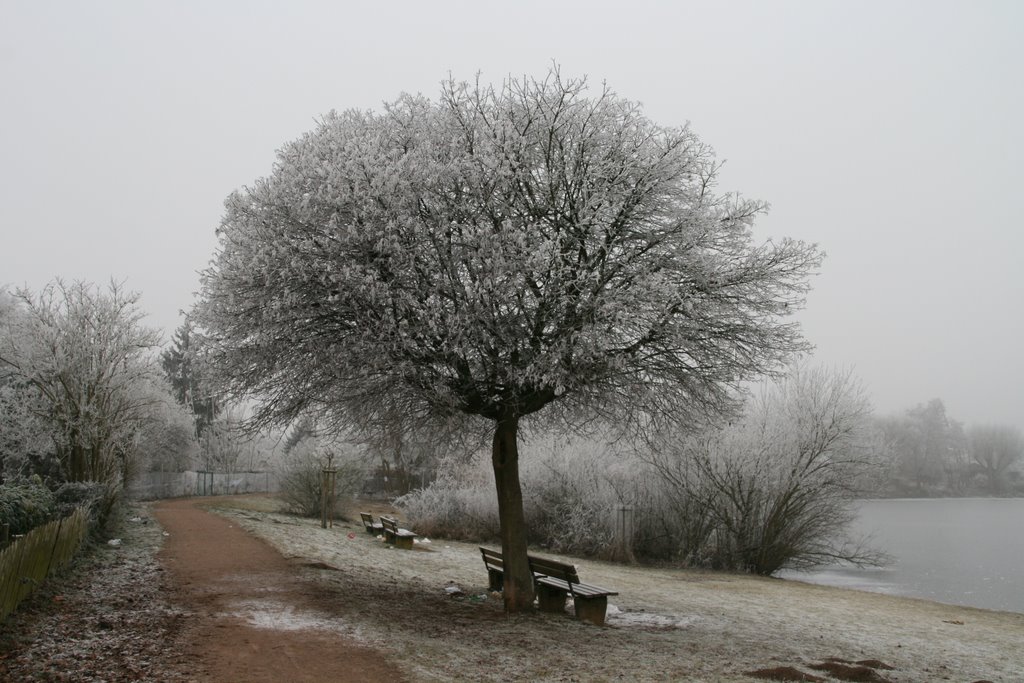 24.12.2007 am Hegbachsee by ABPB