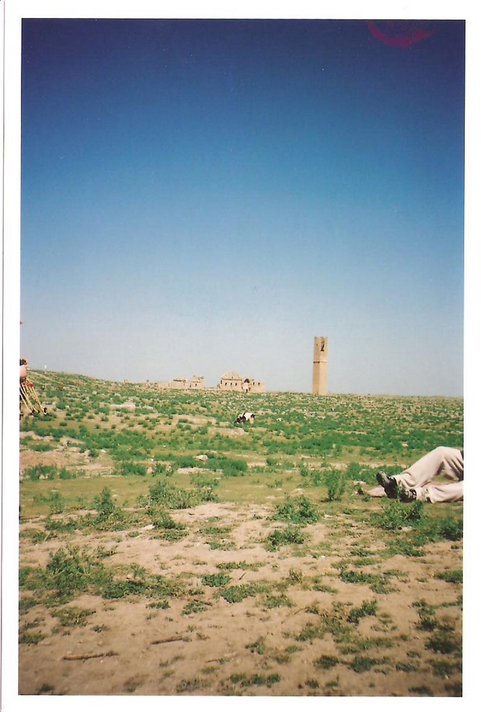 Nizameye medresesi Harran by Mustafa Öz