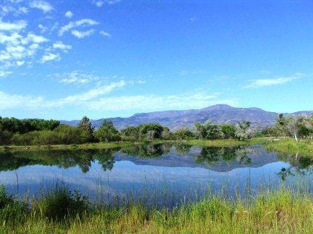 AZ_Dead Horse State Park by allfourdown