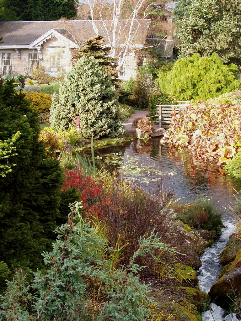 Botanic gardens in Edinburgh by Bijata