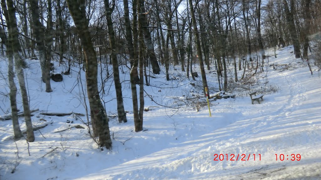 Vienna, Austria, and winter in Austria Saturday, 2012 02 11 time settings sun with little wind a temeratura currently offline minus eleven place photos and dunes batch kalenberg by mile33