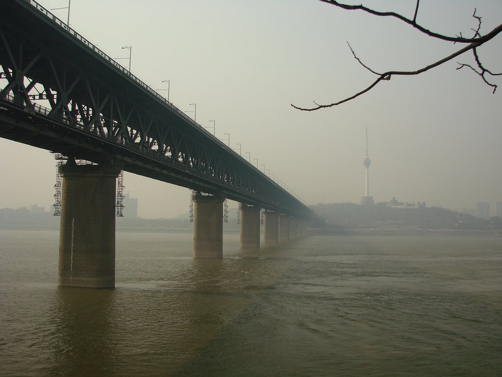 The Primary Bridge of Wuhan by Shyu Lee