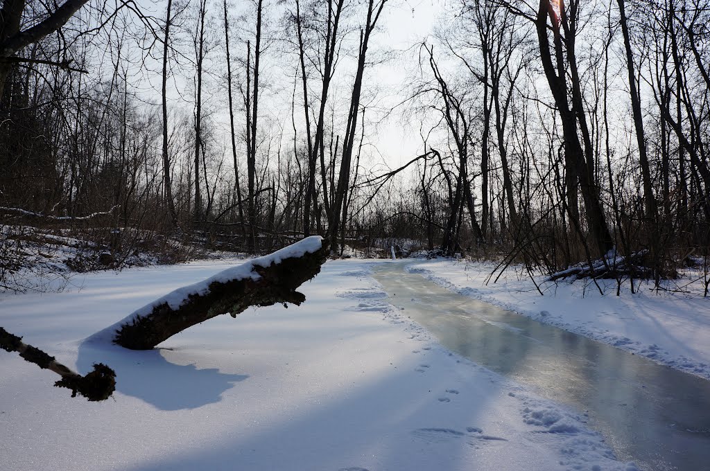 Frozen pond by Kurt Schwendinger  www.bestimage4u.com