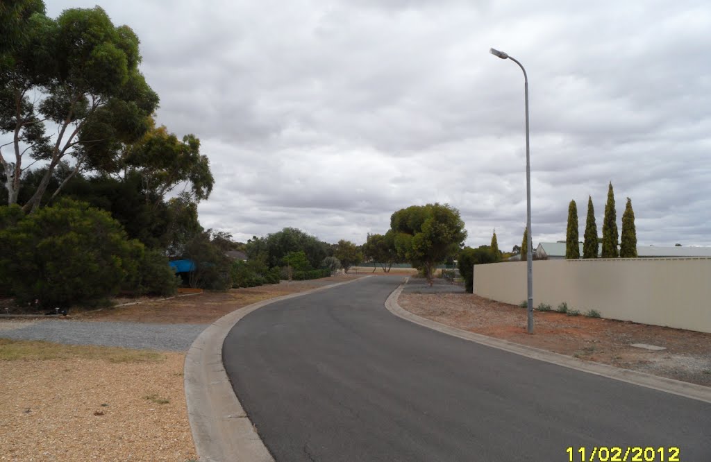 Looking Down Lacebark Cresent in Freeling, on 11-02-2012 by Peter John Tate,